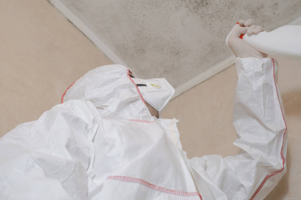 Best Commercial Mold Remediation in Hugoton, KS